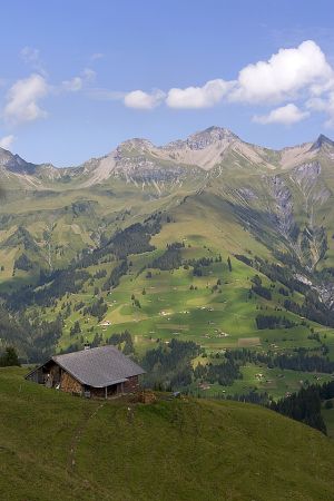 DIG-Adelboden 0042005.jpg